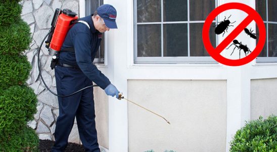 Osmangazi Hamam Böceği İlaçlama böcek ilaçlama ve haşere kontrolü — ilaclama-tr.com